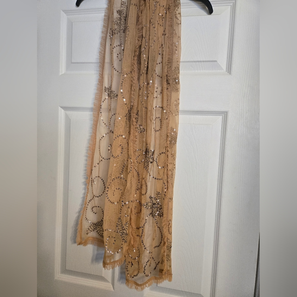 Ladies sheer wrap